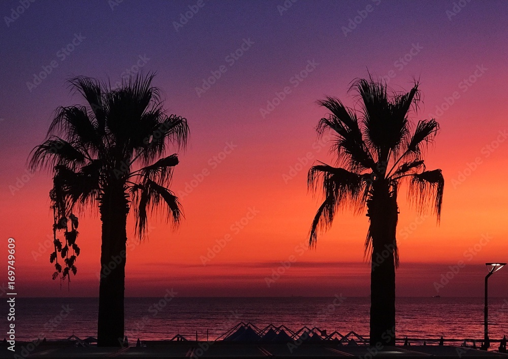 dramatic sunset sky in Durres, Golem, the silhouettes of tall palm trees and bright red sky.