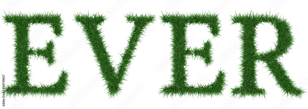 Ever - 3D rendering fresh Grass letters isolated on whhite background. Ever - 3D rendering fresh Grass letters isolated on whhite background.