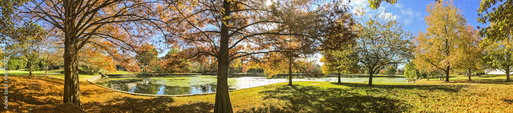 Naklejka premium Springfield Missouri Pond