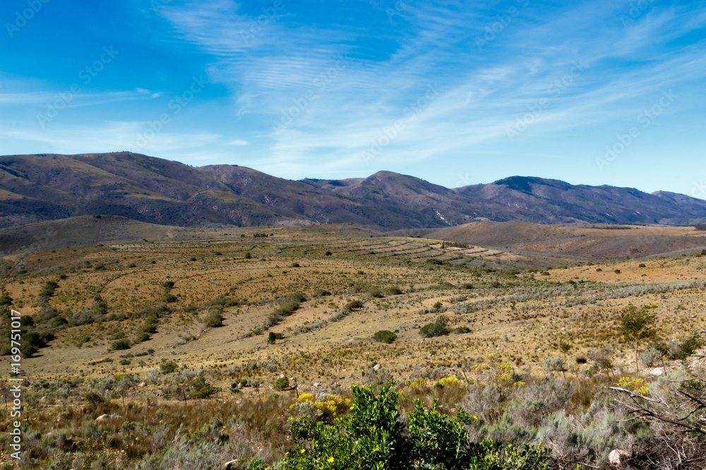 Naklejka premium Flowers and bushy landscape with mountains