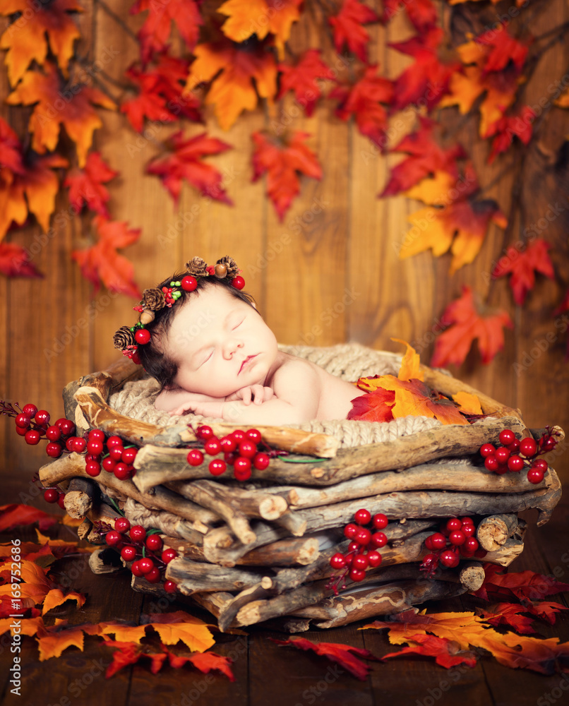 Cute newborn in a wreath of cones and berries in a wooden nest with autumn leaves.