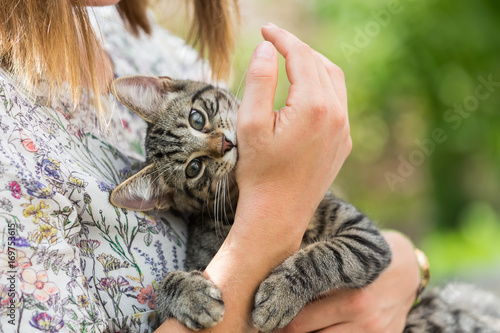 Fototapeta Naklejka Na Ścianę i Meble -  woman holds a kitten in the arms