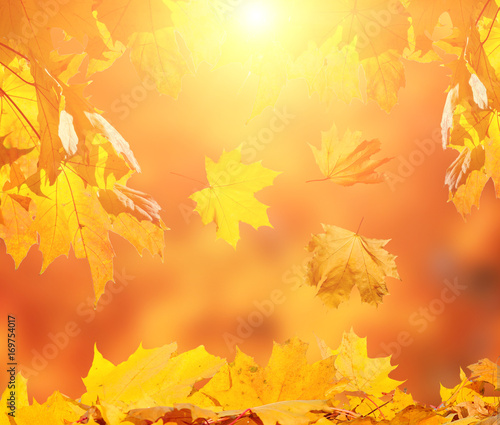 Autumn fallen leaves with blured background and sun