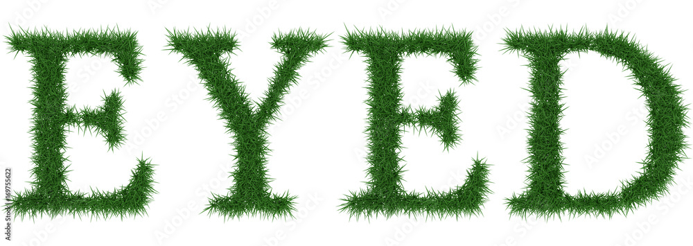 Eyed - 3D rendering fresh Grass letters isolated on whhite background. Eyed - 3D rendering fresh Grass letters isolated on whhite background.