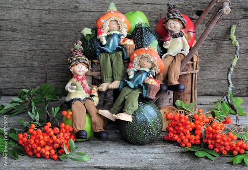 Autumn fruits background. Autumn Thanksgiving seasonal fruits. Nature background. gnomes .