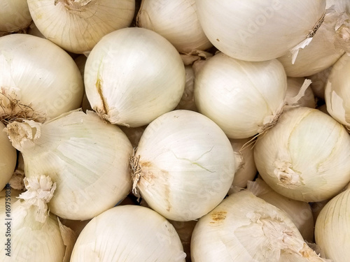 raw white onions at the market