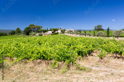Charming vineyard with farmhouse in countryside in Provence, France