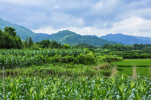 The countryside and mountains scenery in summer 