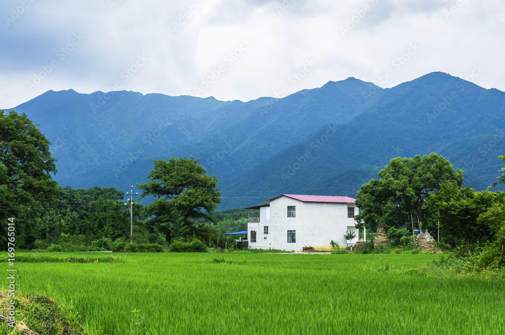 The countryside and mountains scenery in summer The countryside and mountains scenery in summer