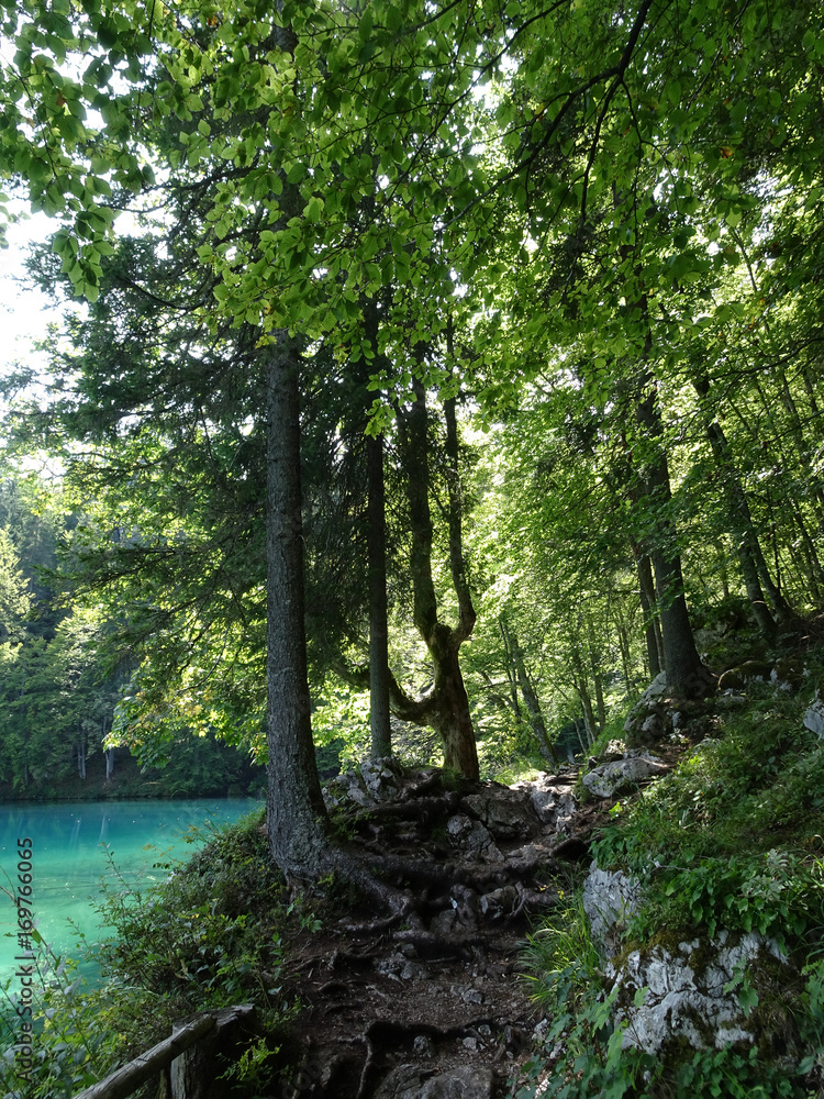 Obraz premium Wandersteig