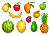 Vector isolated icons of tropical exotic fruits