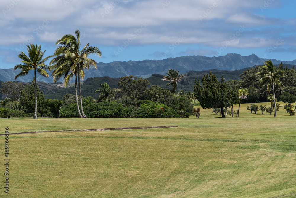 Partial view of the golf course, with palm trees, and mountains in the background, at  Kukuiolono Park and Golf Course, in Kalaheo, Kauai