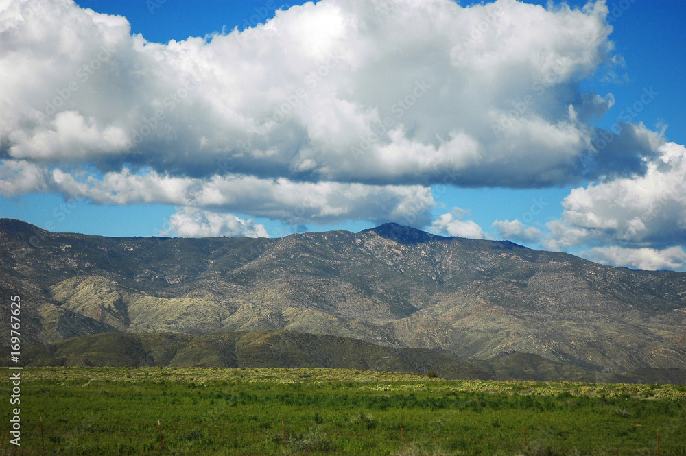 Obraz premium mountain and green grassland in Arizona in spring
