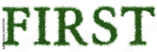 First - 3D rendering fresh Grass letters isolated on whhite background.