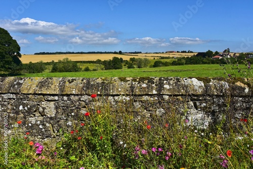 Schottland - Balgonie Castle Umland photo