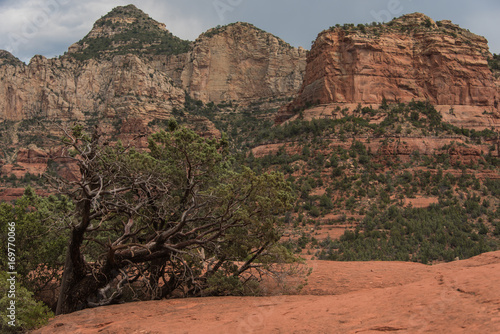 Sedona AZ Landscape