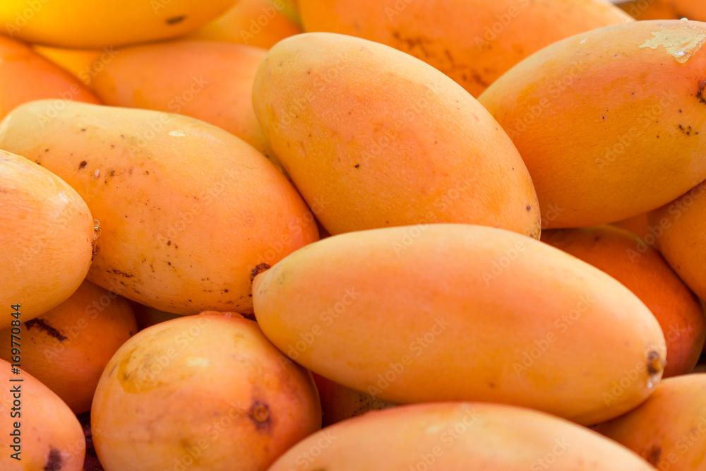 mango