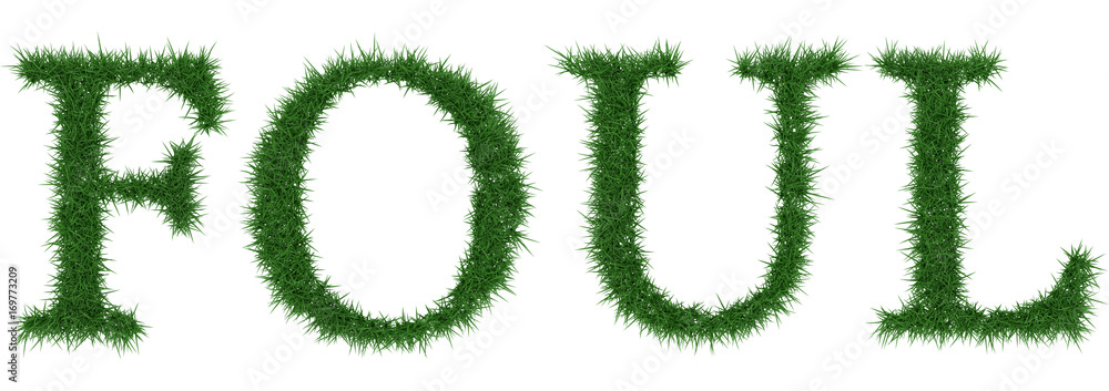 Foul - 3D rendering fresh Grass letters isolated on whhite background. Foul - 3D rendering fresh Grass letters isolated on whhite background.