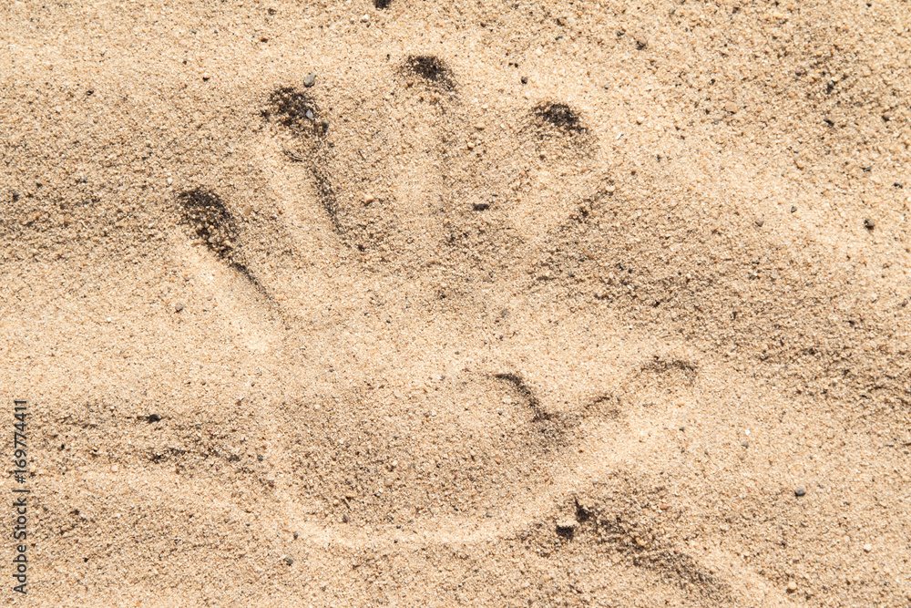 Footprints in the sand Footprints in the sand