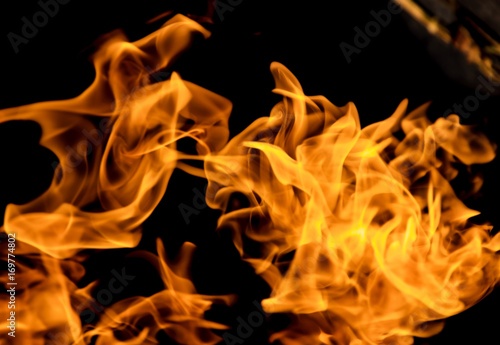 Fire flames on a black background