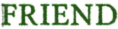 Friend - 3D rendering fresh Grass letters isolated on whhite background.