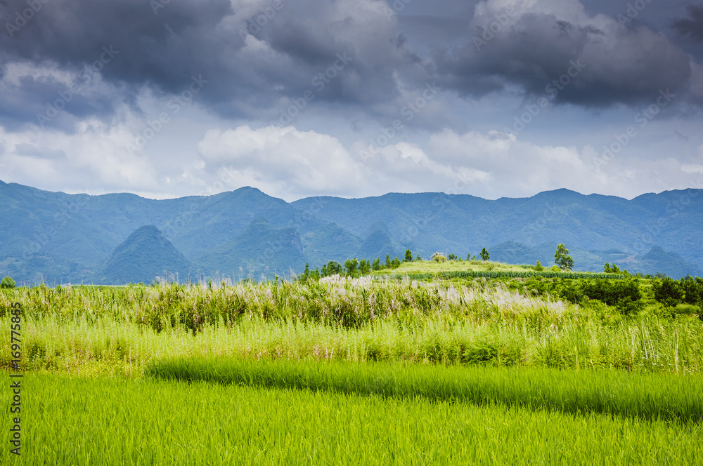 The countryside and mountains scenery in summer 