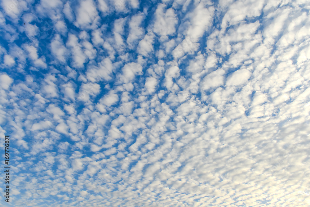 Obraz premium The blue sky and white fluffy clouds