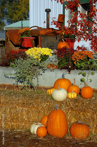 Autumn at the Farm