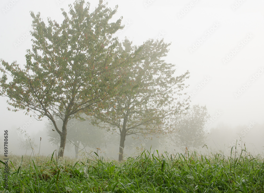 Herbstlandschaft, Ruhe, Stille Depression, Traurigkeit, herbstliche Melancholie :)