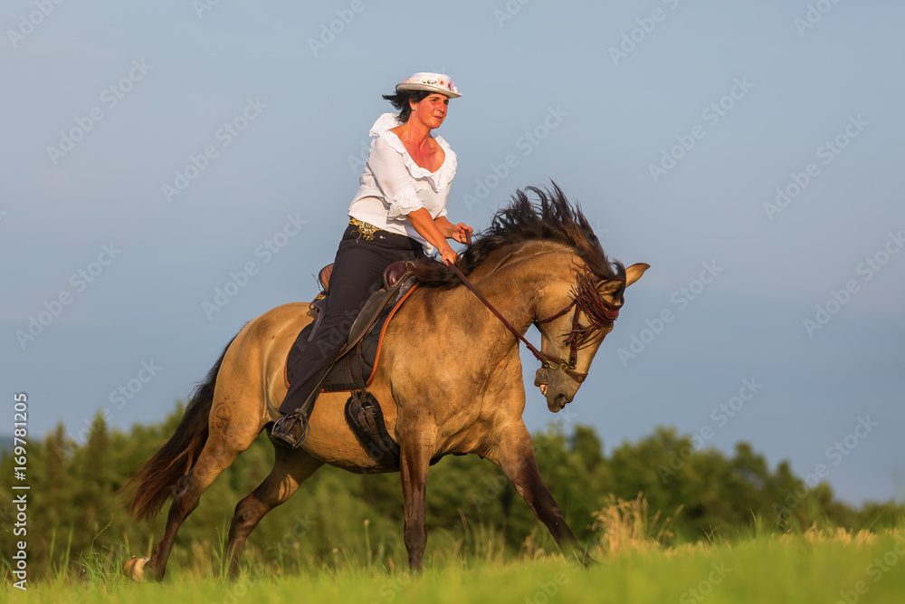 mature woman riding an Andalusian horse mature woman riding an Andalusian horse