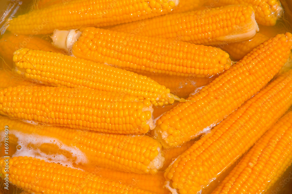 Fototapeta premium corn boiling in pot
