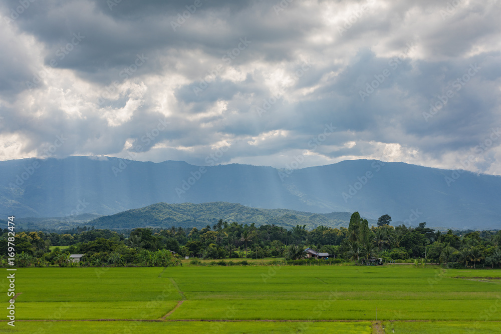 Beautiful Landscape Beautiful Landscape
