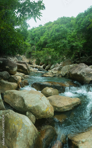 Rainforest  river and waterfalls