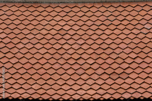 Roof Pattern In Park.