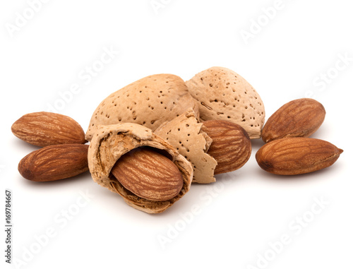 Almond nut in shell and shelled isolated on white background close up