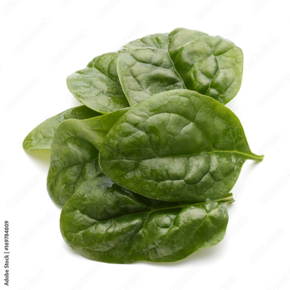 Baby spinach leaves isolated on white background cutout Baby spinach leaves isolated on white background cutout