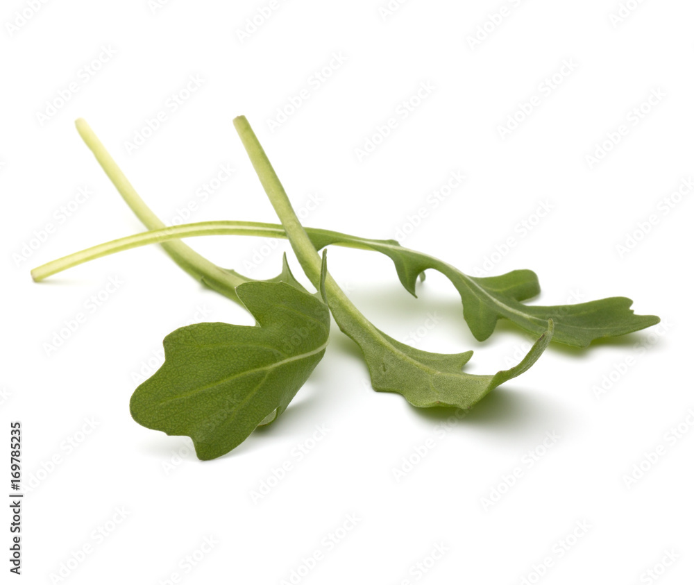 Fototapeta premium Sweet rucola salad or rocket lettuce leaves isolated on white background