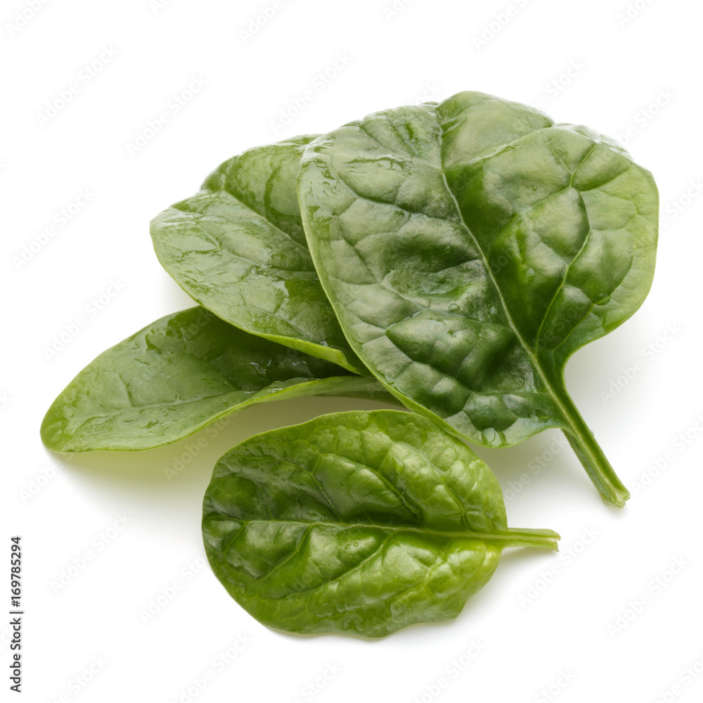 Obraz premium Baby spinach leaves isolated on white background cutout
