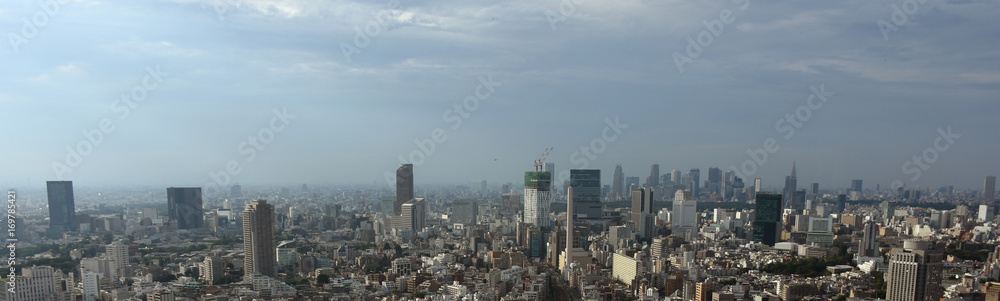 日本の東京都市景観「渋谷区や新宿区方面などを望む」