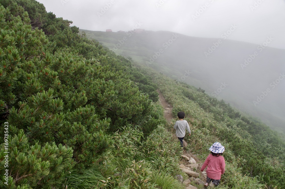 Fototapeta premium 霧の山道を歩く子供