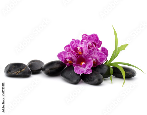 Zen pebbles and orchid flower. Stone spa and healthcare concept.