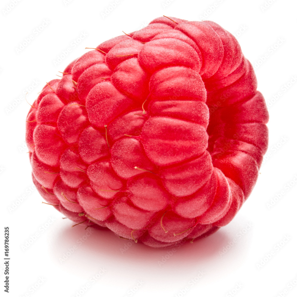 ripe raspberry isolated on white background close up ripe raspberry isolated on white background close up