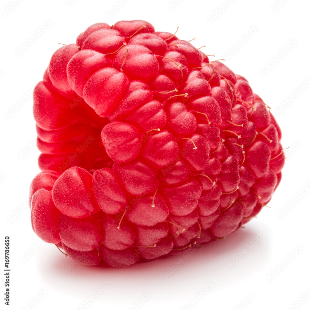 ripe raspberry isolated on white background close up ripe raspberry isolated on white background close up