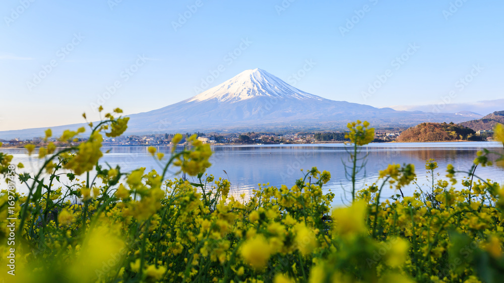 Fototapeta premium Mount fuji at Lake kawaguchiko.