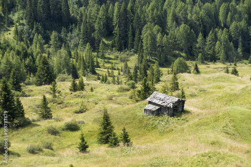 Old wooden hut in the Alpine region, Italy.