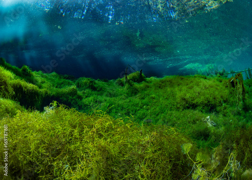 Underwater Finland 2017