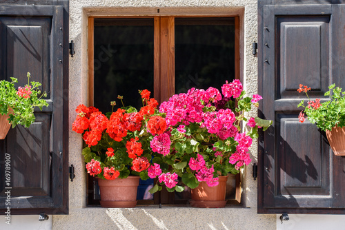 Flowers and flowering balconies in the mountains. Sauris. © Nicola Simeoni