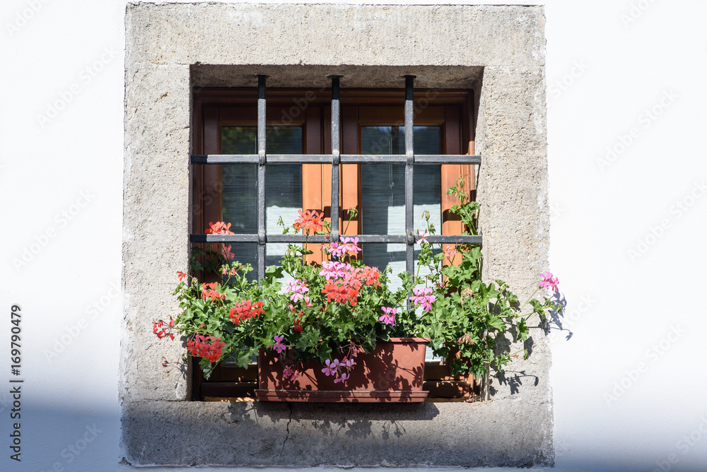 Flowers and flowering balconies in the mountains. Sauris.