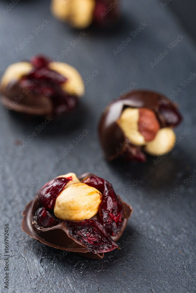 Hazelnut and cranberries in chocolate Hazelnut and cranberries in chocolate