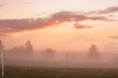 Foggy grassland at sunrise © Juhku